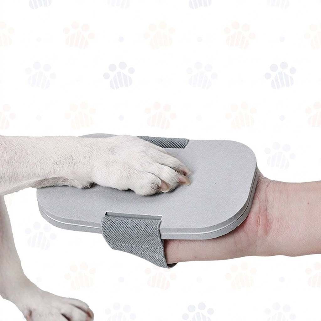 Dog Nail Scratch Board