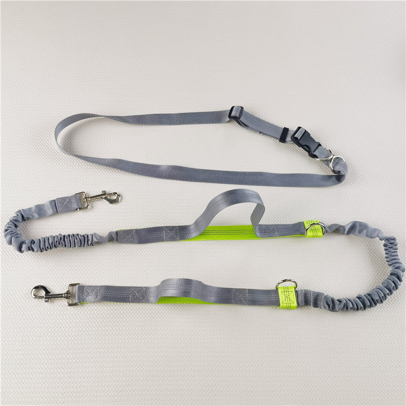 Hands-Free Reflective Dog Leash with Shock Absorber