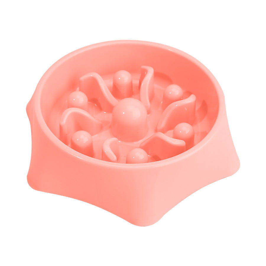 Elevated Slow Feeder Dog