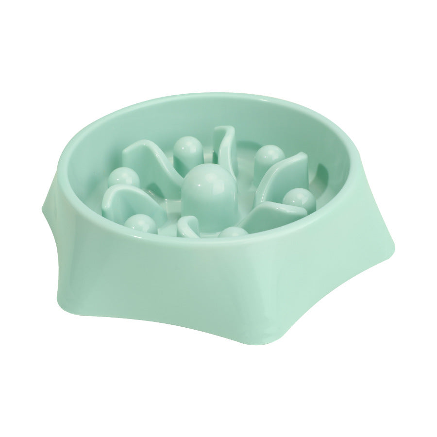 Elevated Slow Feeder Dog