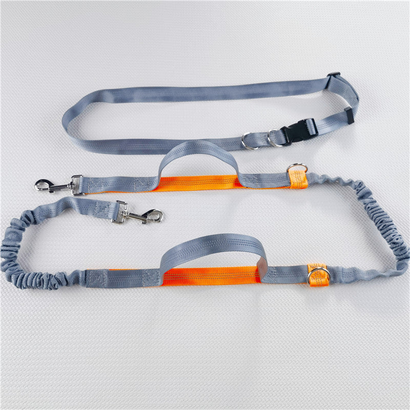 Hands-Free Reflective Dog Leash with Shock Absorber