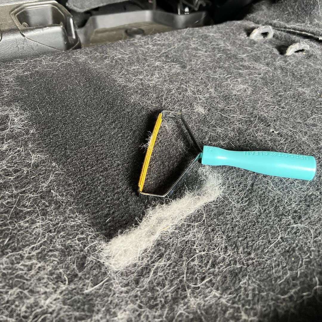🔥LAST DAY 70% OFF🔥-Pet Hair Cleaner